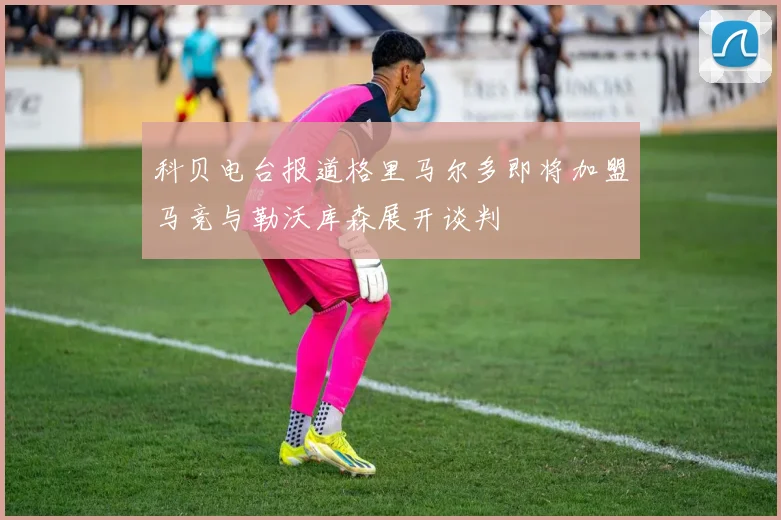 科贝电台报道格里马尔多即将加盟马竞与勒沃库森展开谈判