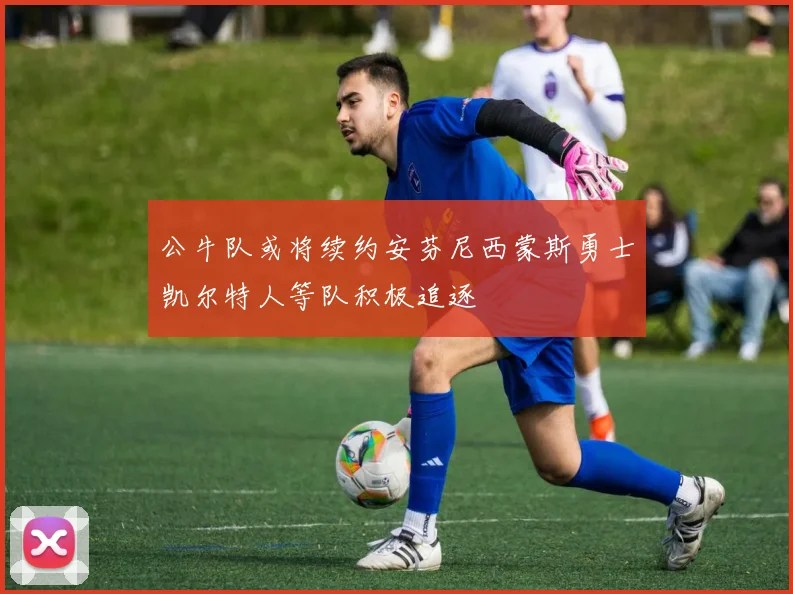 公牛队或将续约安芬尼西蒙斯勇士凯尔特人等队积极追逐